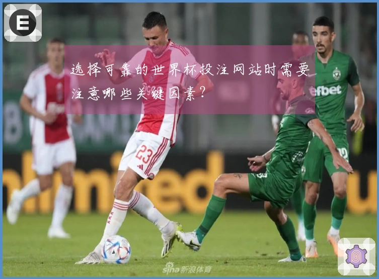 选择可靠的世界杯投注网站时需要注意哪些关键因素？