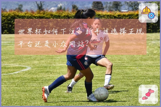 世界杯如何下注？新手该选择正规平台还是小众网站？