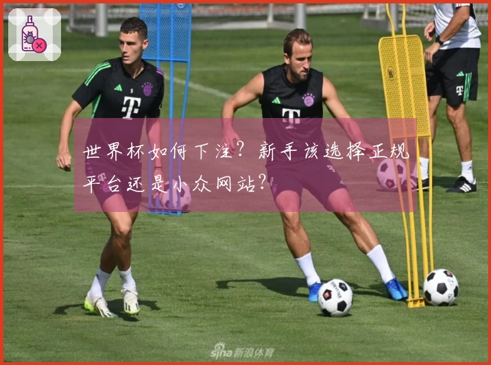 世界杯如何下注？新手该选择正规平台还是小众网站？