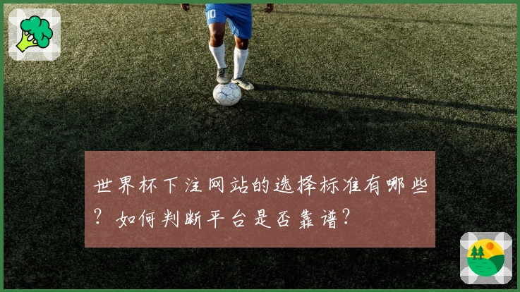 世界杯下注网站的选择标准有哪些？如何判断平台是否靠谱？