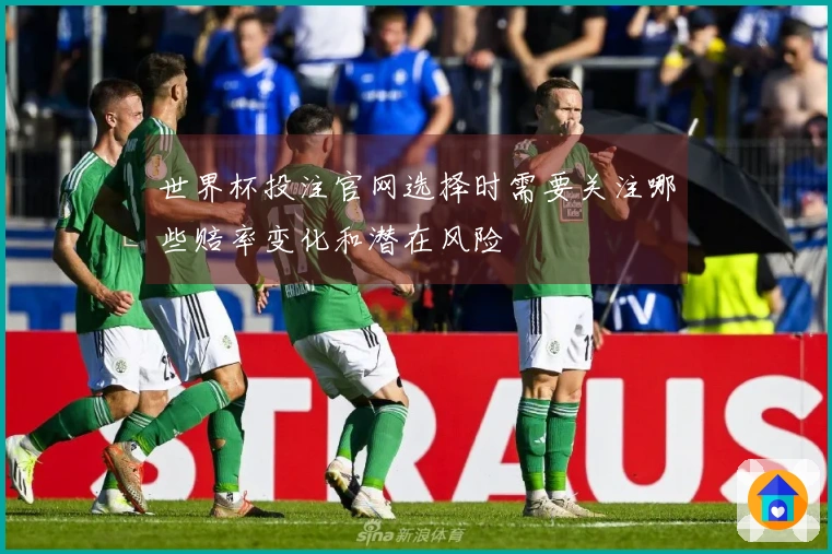 世界杯投注官网选择时需要关注哪些赔率变化和潜在风险