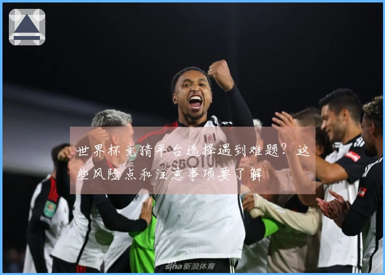 世界杯竞猜平台选择遇到难题？这些风险点和注意事项要了解