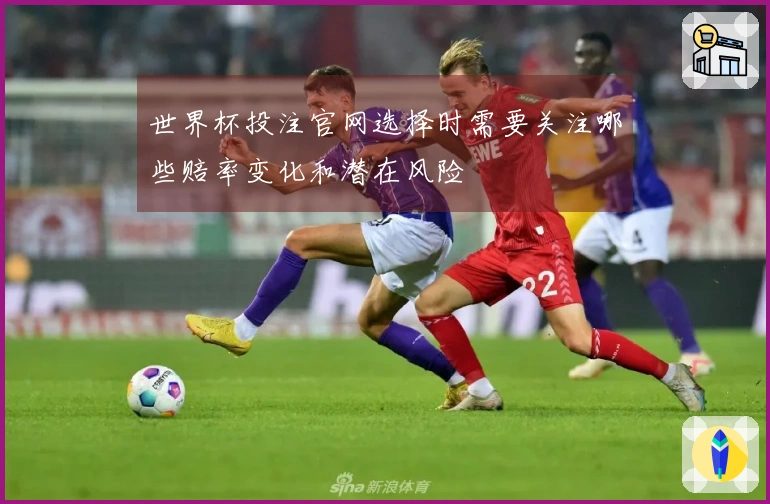 世界杯投注官网选择时需要关注哪些赔率变化和潜在风险