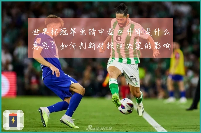 世界杯冠军竞猜中盘口升降是什么意思？如何判断对投注决策的影响