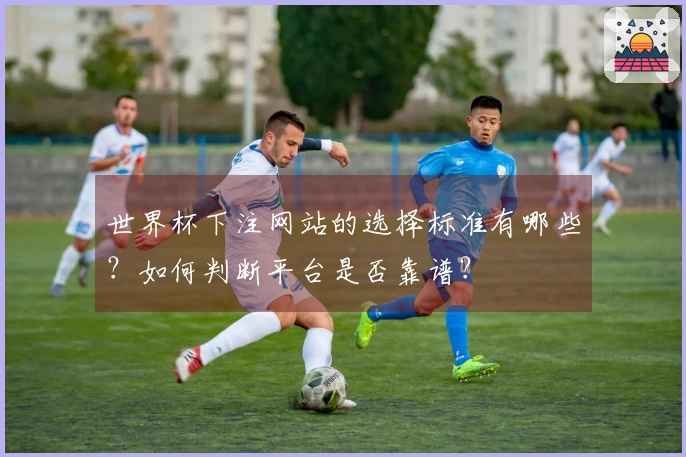世界杯下注网站的选择标准有哪些？如何判断平台是否靠谱？